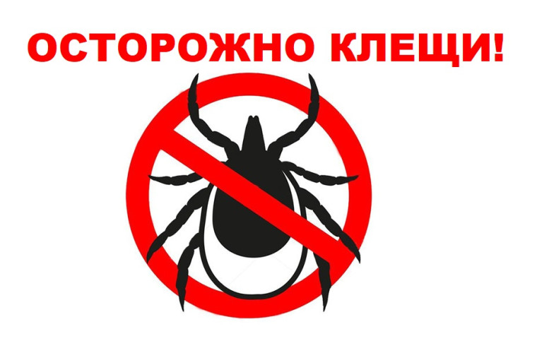 О Всероссийской горячей линии по по профилактике клещевого энцефалита и инфекций, передающихся клещами.